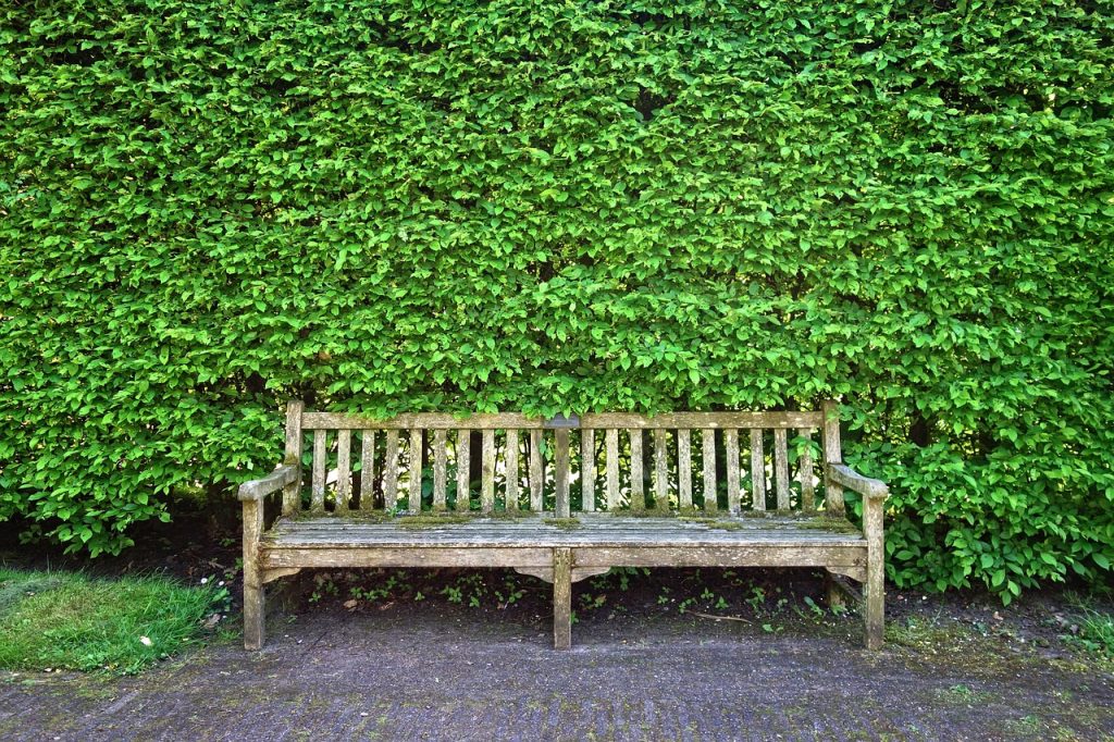 wooden bench, bench, seat-3392273.jpg